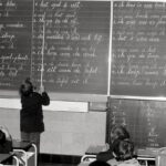 PISA-TEST BEWIJST: KAPELLENAARS SLIMMER DAN ZE ERUITZIEN